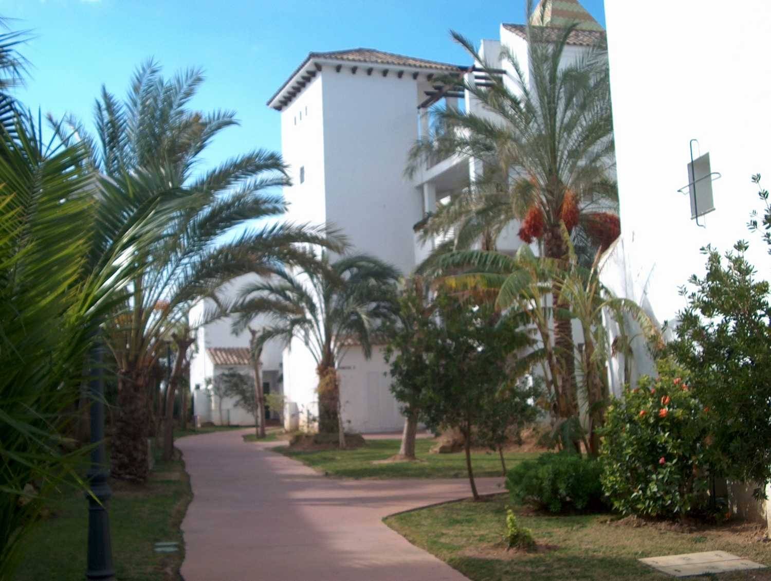 Wohnung zur miete in Costa Ballena - Largo norte (Rota)