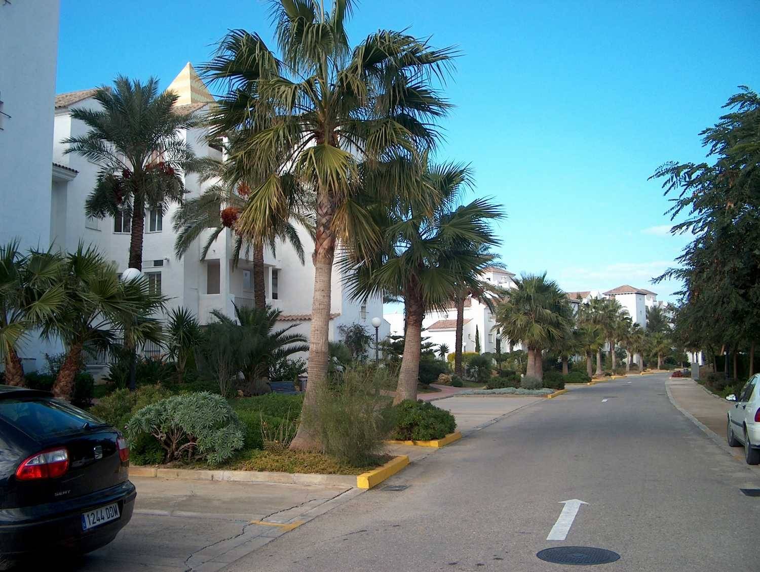 Wohnung zur miete in Costa Ballena - Largo norte (Rota)