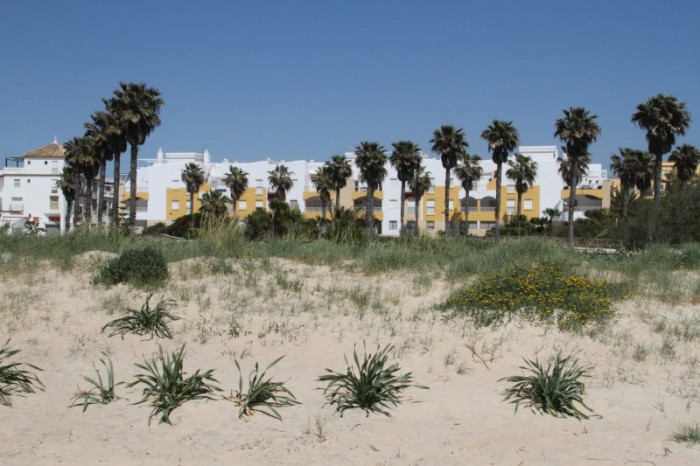 Flat for rent in Costa Ballena Golf (Rota)